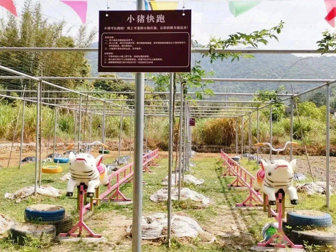 露营野餐，种菜摘果，过神驰的生活