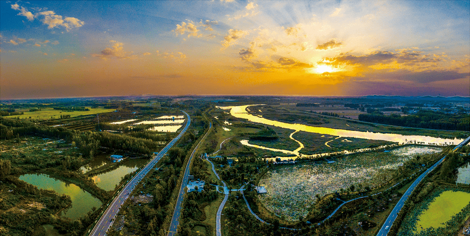 古黄河畔"甜蜜"多_种植_魏集_睢宁