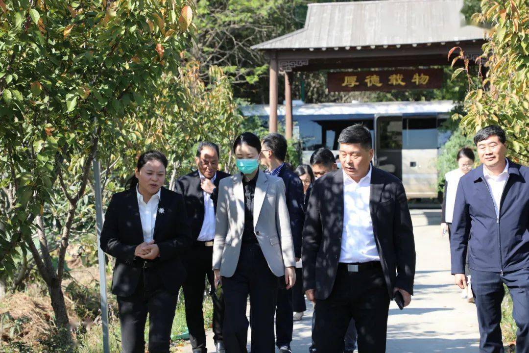 区委副书记顾玉琪调研临湖镇乡村振兴片区建设情况_示范_特色_的发展