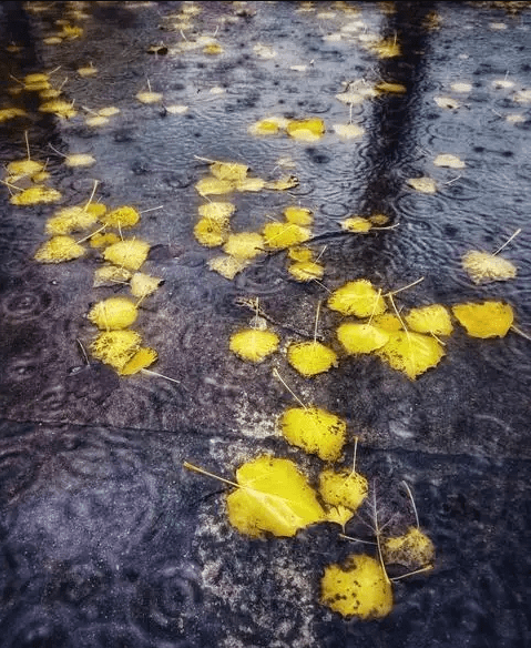 这次第,怎一个愁字了得!梧桐更兼细雨,到黄昏,点点滴滴.