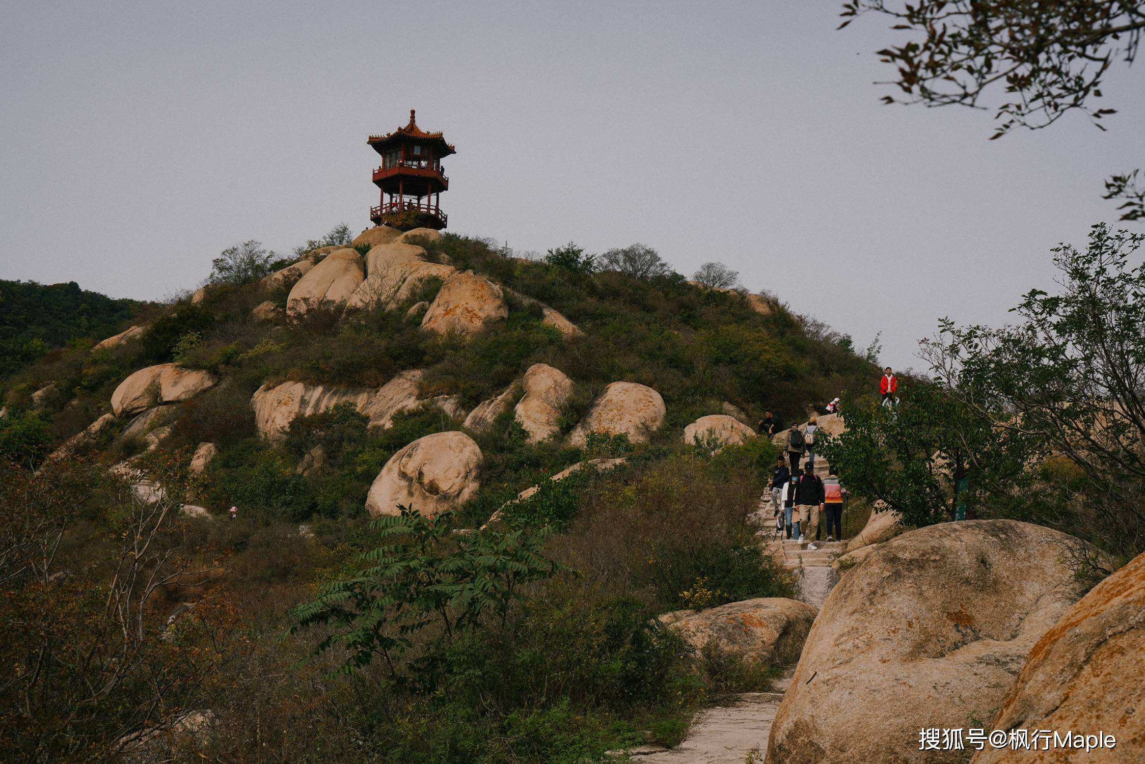 登高,采摘,撸猫,高质量农家菜,秋日爬山好去处,坐标北京海淀_凤凰岭