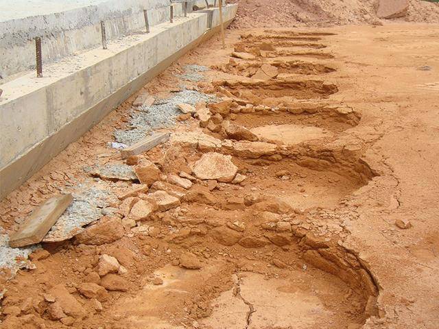 进行_危害_基本