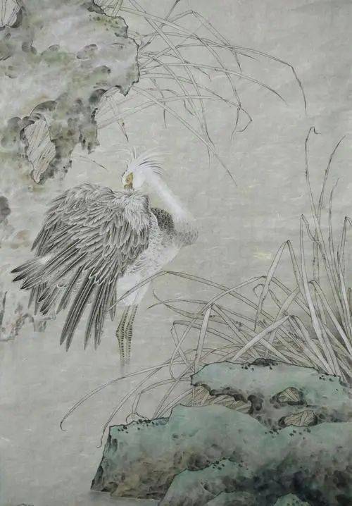 "半个农民"的他,画出了工笔画的灵动与创意_陈建强_太湖_作品展