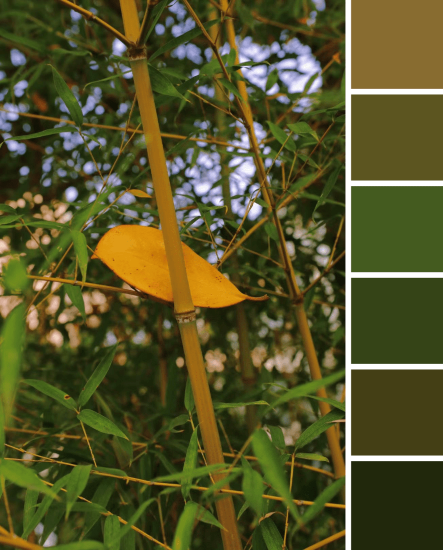 快来解锁校园限定色卡~