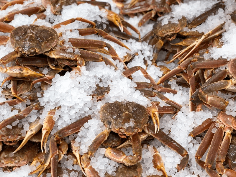 bering_sea_crab
