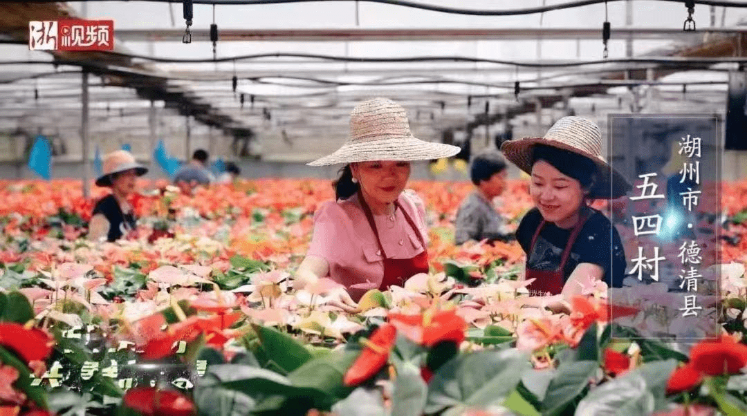 硬核推荐（南太湖古镇在哪）太湖古镇景点，(图16)