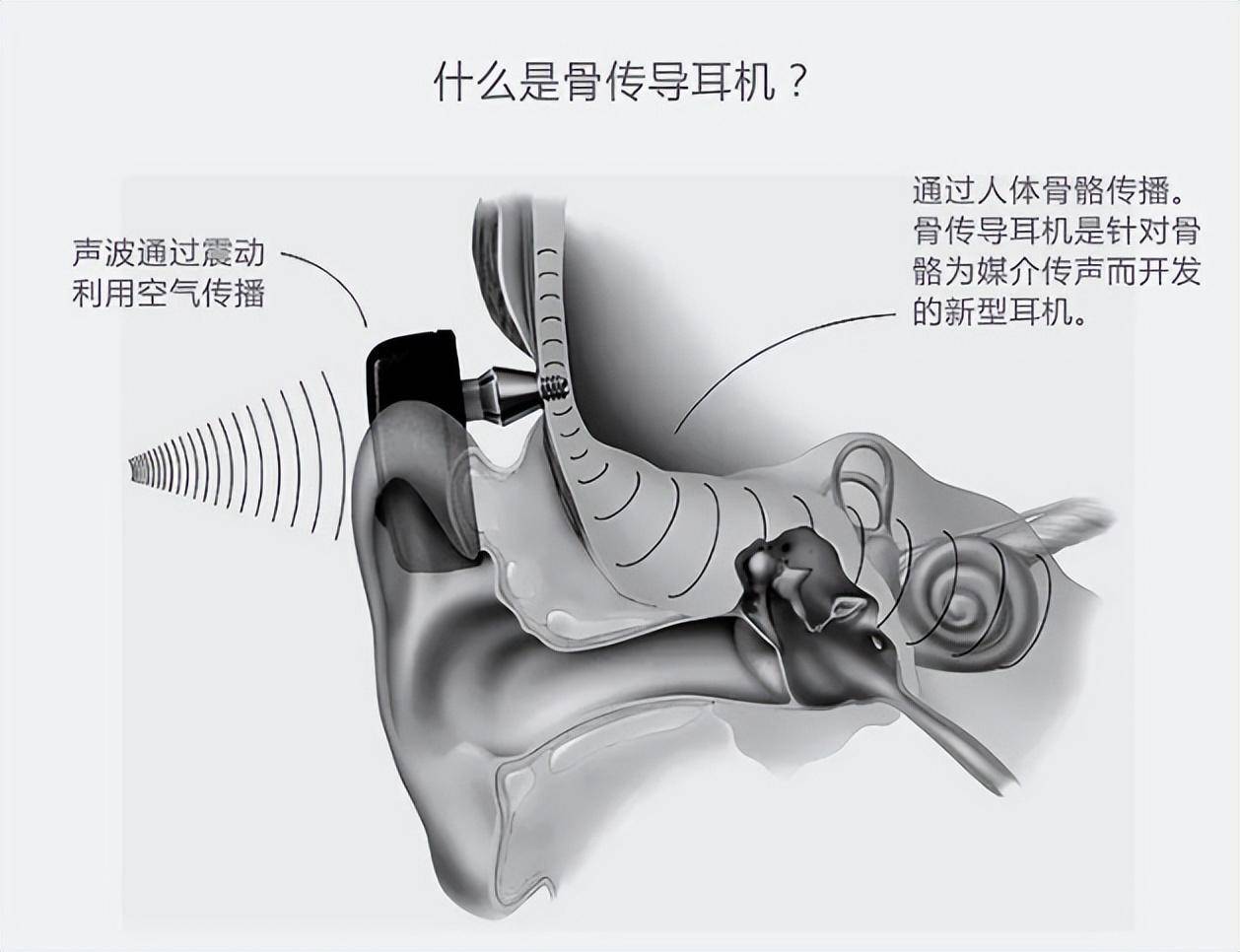 骨传导耳机结构图图片