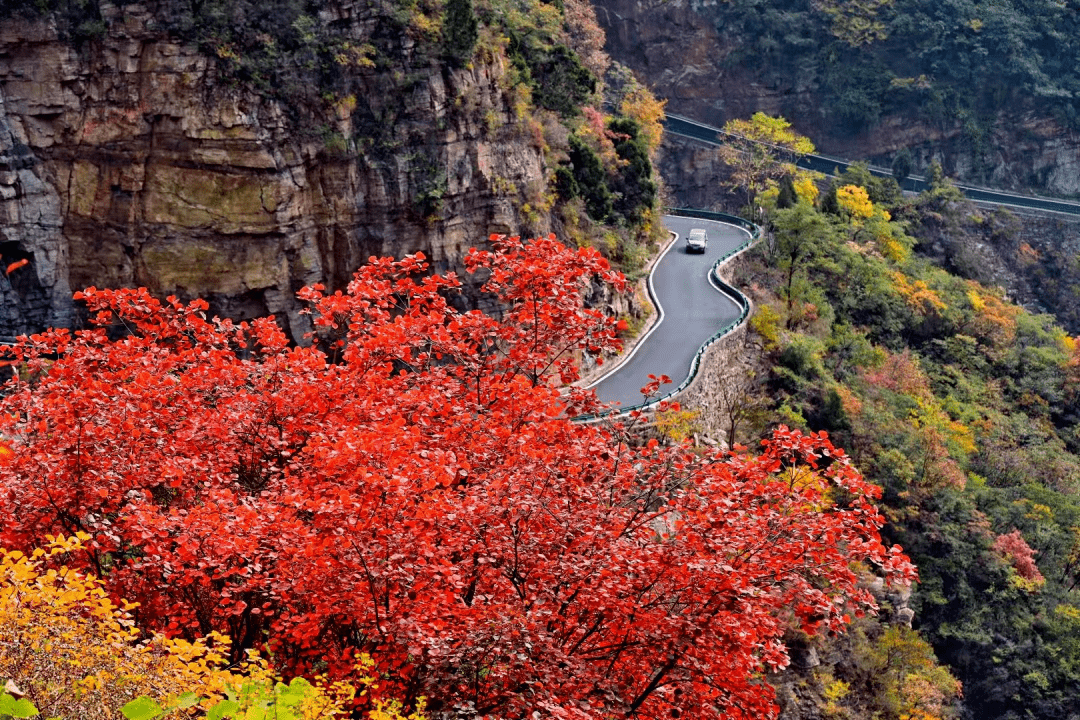 太行山秋景图片