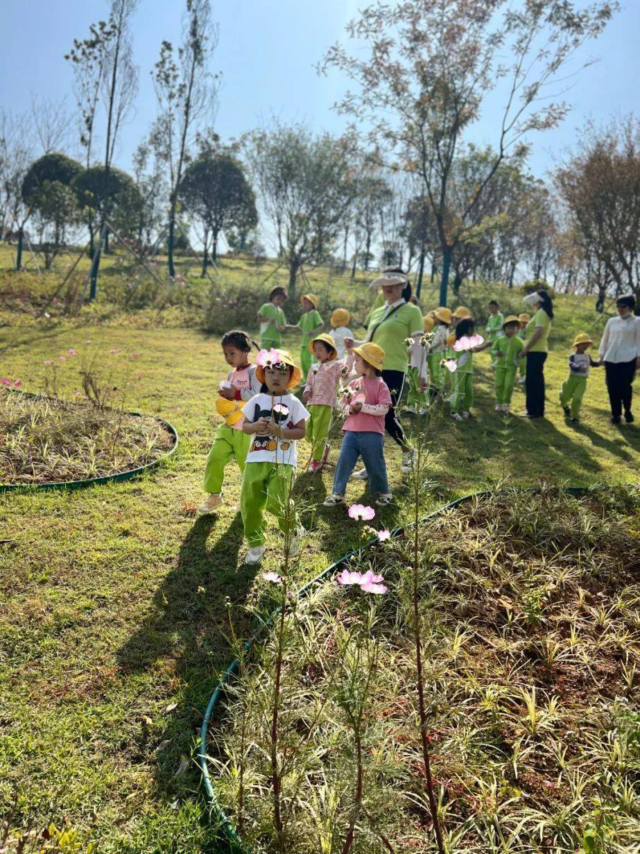 秋天宝藏之旅丨湖南益阳市伟才幼儿园秋游纪实_孩子_大自然_游戏