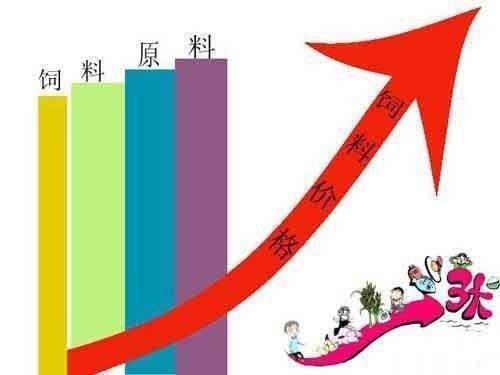 丝兰提取物如何降低饲料成本，实现降本增效