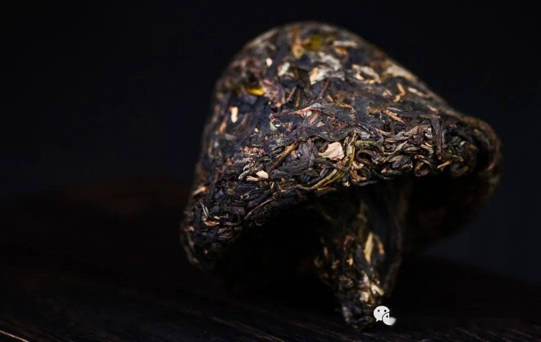 周重林对话李文华:蘑菇沱的前世今生_普洱茶_藏区_贡茶