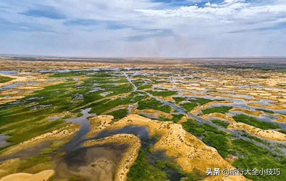 中国把黄河水引进戈壁，谁知呈现了奇异的一幕，结合都城为之称赞