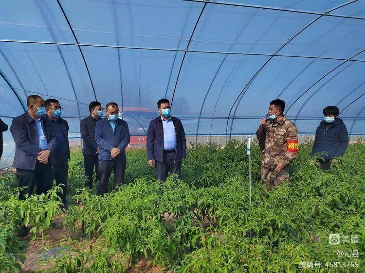 县区动态丨沁县:全面建设清廉村居 着力打造美丽乡村