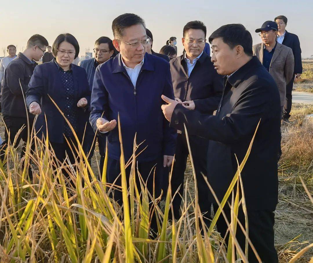 宿迁市副市长薛图片