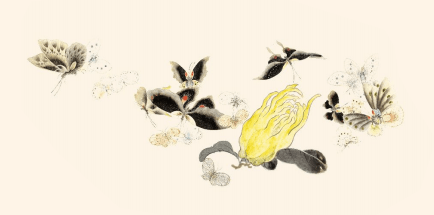 每日听书丨庄周化蝶_蝴蝶_庄子_胡蝶