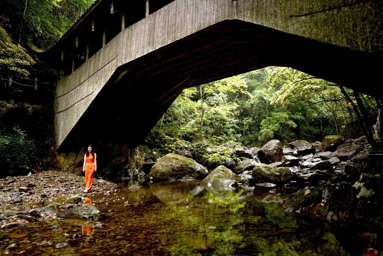 秋天登山行,温州之巅白云尖,海拔1611米,天然氧吧泰顺欢迎你_时间