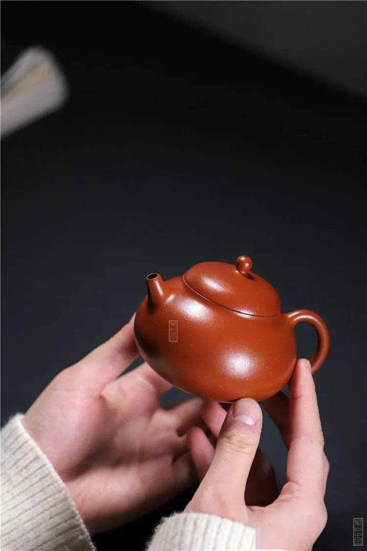 三对同卵"双胞胎",该如何分辨?_壶盖_紫砂_西施