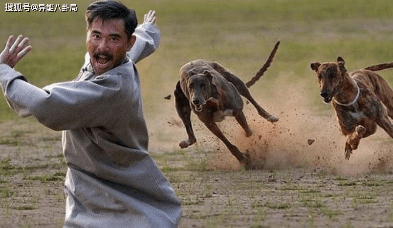 自称"怪蜀黍",在天涯还不是时代眼泪的时候,就潜水围观,上号吃瓜,一度