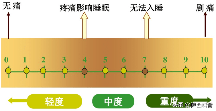 nrs评分法图源数字北京科学中心4,wto 疼痛分级法世界卫生组织对于
