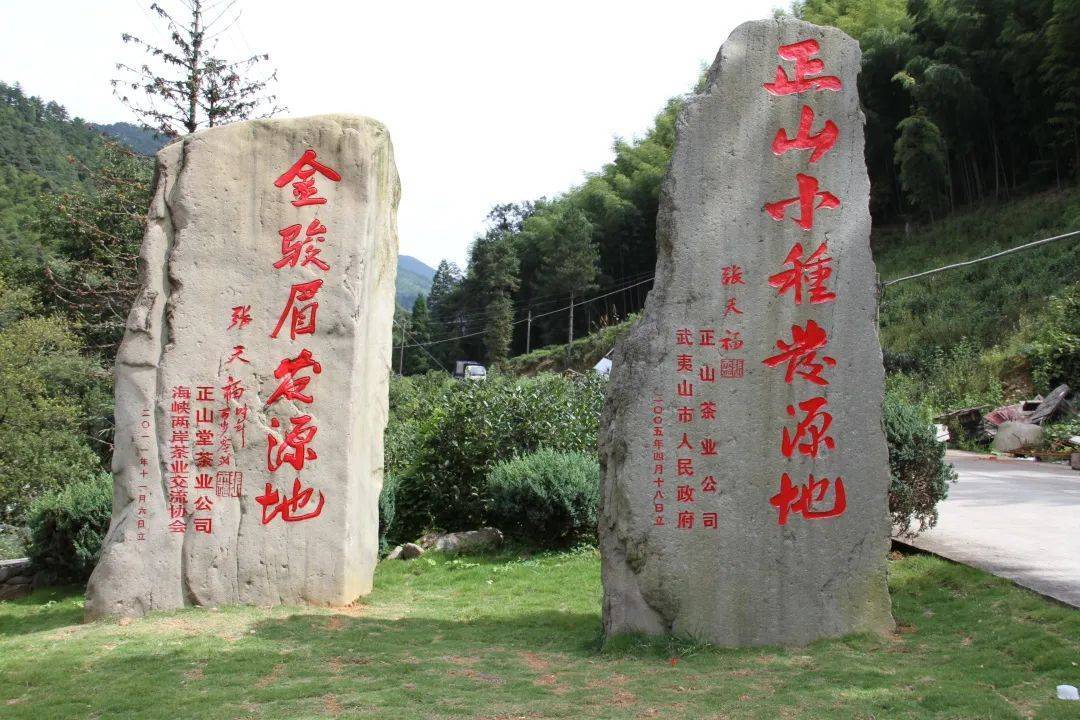 探秘桐木关"青楼",找回正山小种的松烟桂圆香_武夷山_传统_桐木村