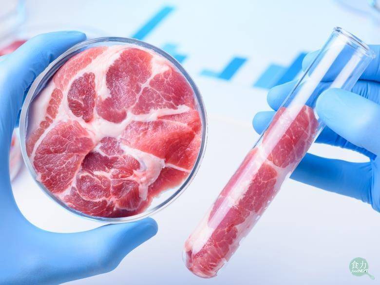 比尔盖茨和关晓彤都推荐的人造肉,是毒药还是解药到底能不能吃_植物