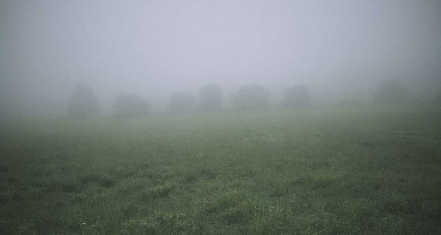 抢食预制菜海尔格兰仕格力“道不同但心相印”-家电圈官网