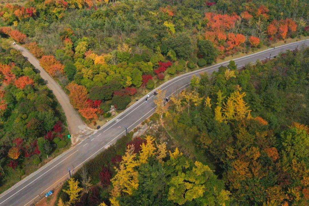 威宁草海北坡迎来"颜值"最高季_生态_公园_屏障