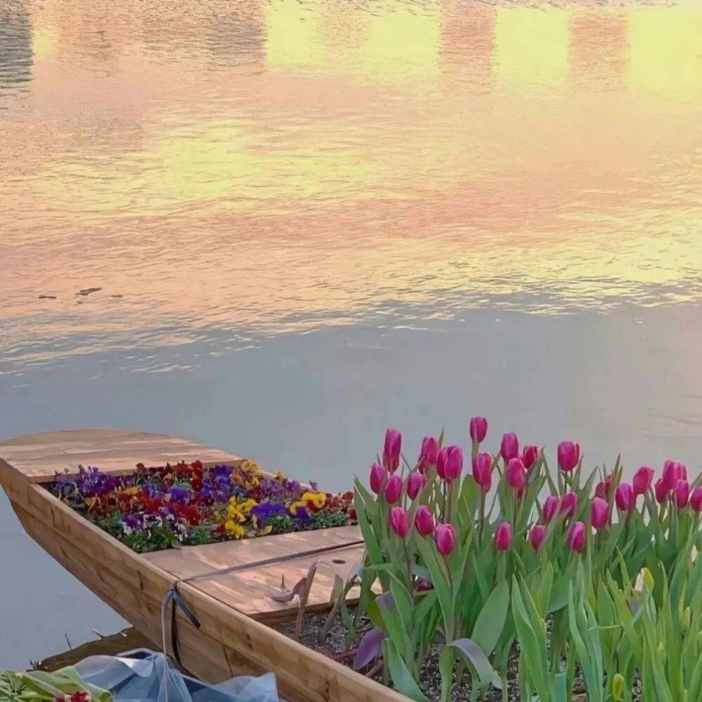 氛围感背景图 - 背景图全屏ins风 - 实验室设备网