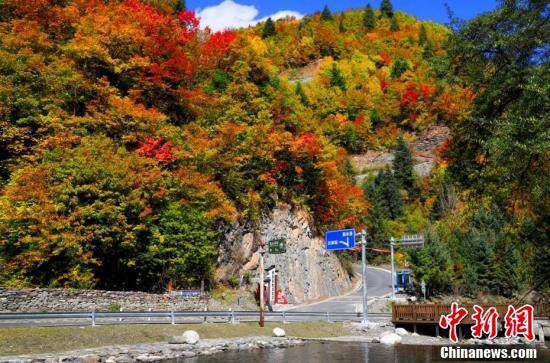 四川黑水：彩林进入最佳观赏期 层林尽染秋意浓_冰山_阿坝_面积