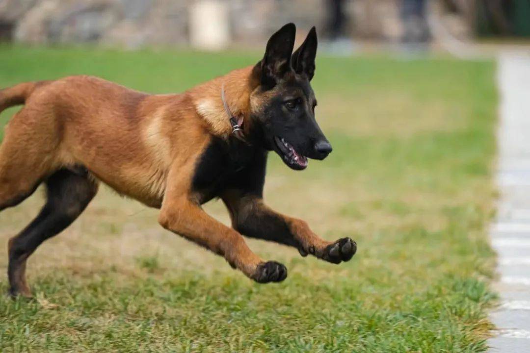 瑞鸿海外十周年庆第六弹"十在必行"客户答谢活动圆