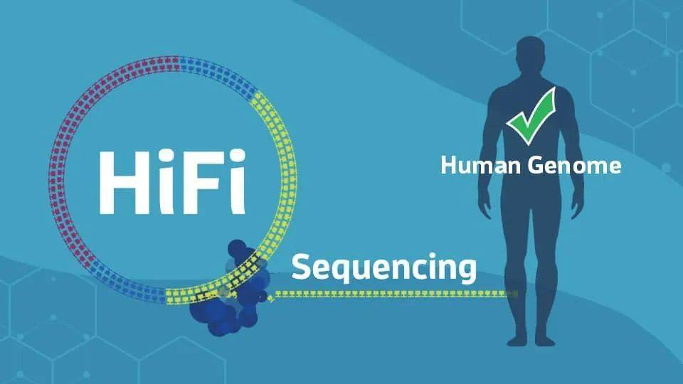 HiFi 1 000 PacBio Revio Cell hifi 1 000 pacbio revio cell