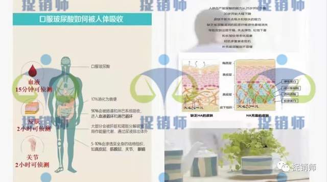 康尔快销模式成疑产品难卖:青岛康尔曾因虚假宣传被罚(图6)