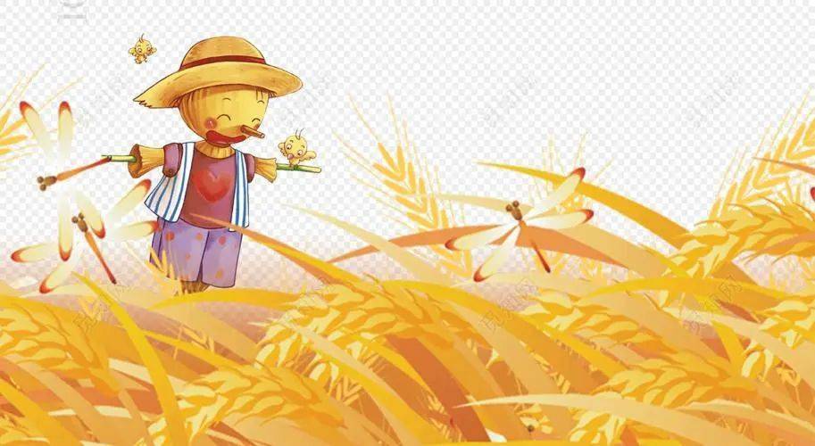 【红领巾研学】稻花香里说丰年!_活动_稻田_椒江区