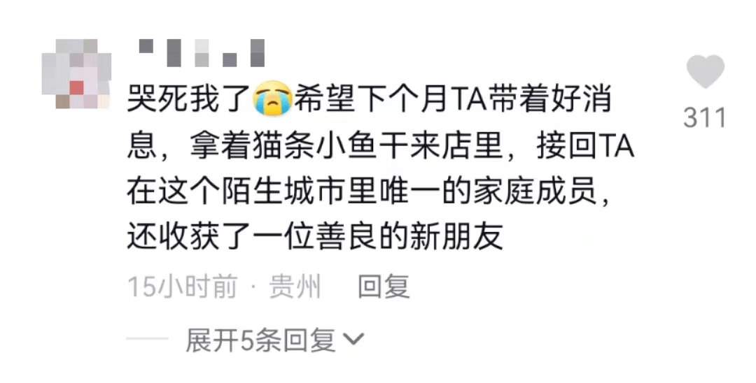 患癌仆人把猫拜托给猫咖：若是下个月我还活着，会来看它...