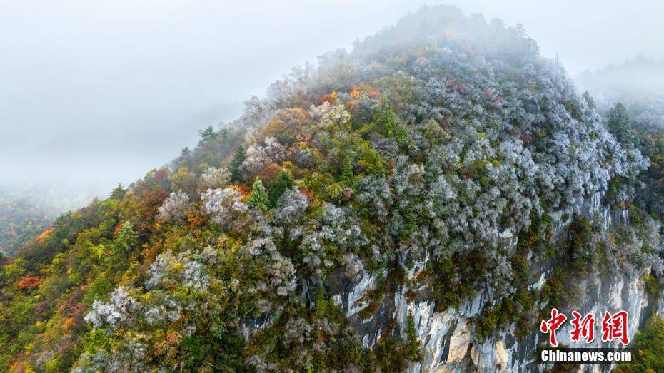 湖北神农架迎来秋季“黄金期”山川峡谷秋意十足