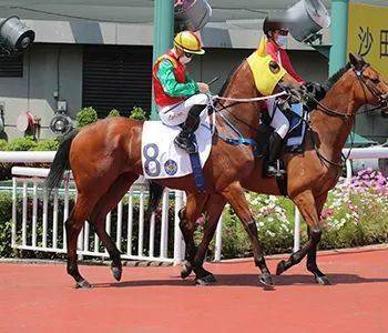 烽火台｜巫显东黎海荣图破闷局