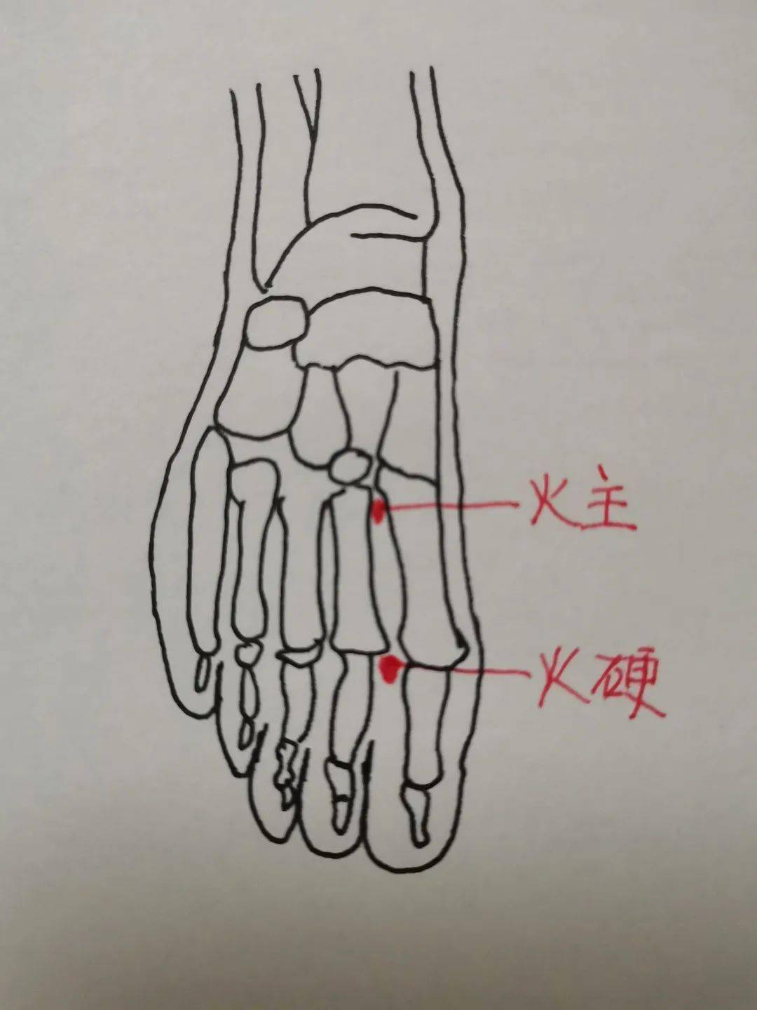 火主的准确位置图图片