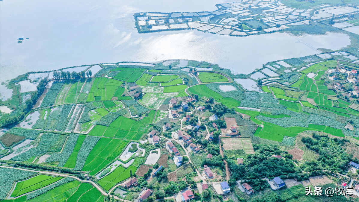自古至今,长江中下游河湖纵横,平原广布,人们在此基础上围湖造田,创造