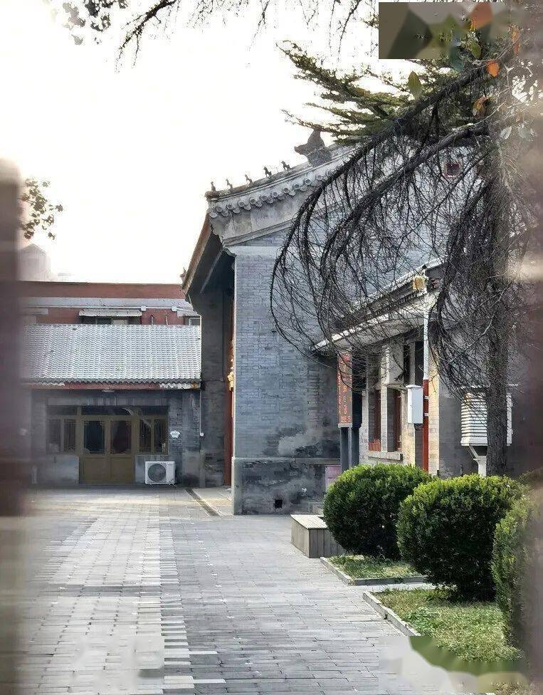 寻找崇效寺_牡丹_大门_丁香