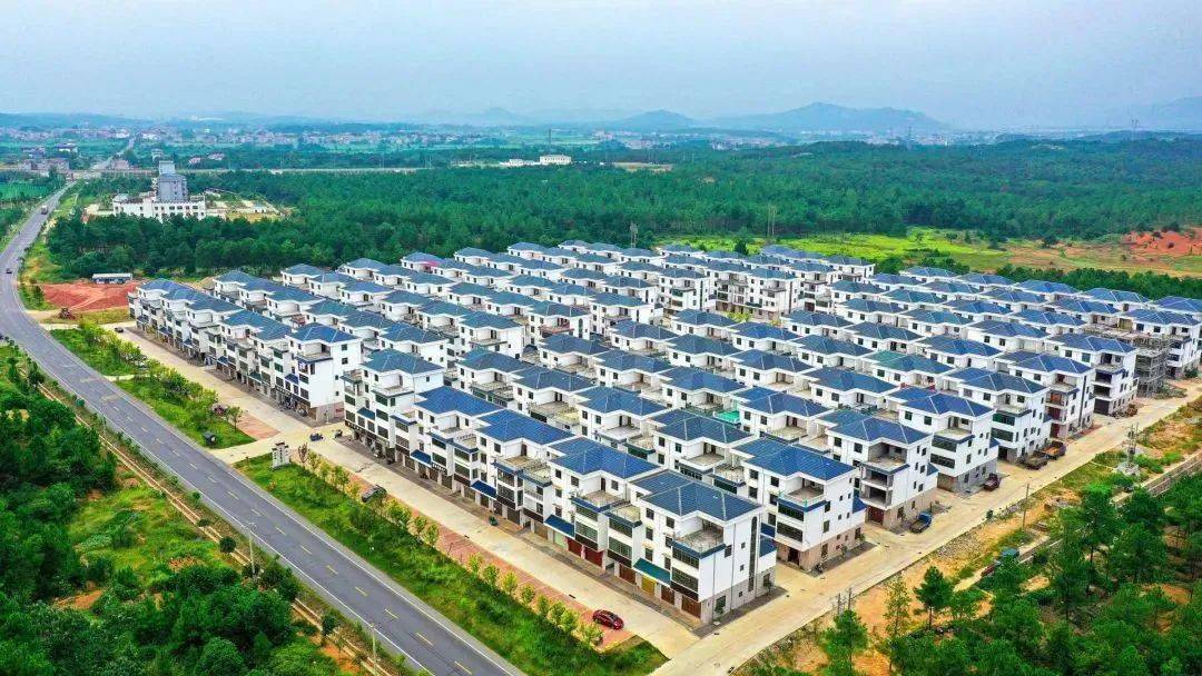 塘村,金滩镇阁上村,水田乡西田村,双村镇双村村,醪桥镇坝溪村及东源村