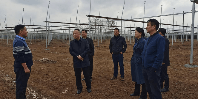 定远县委书记邹军调研县现代农业示范园项目建设情况