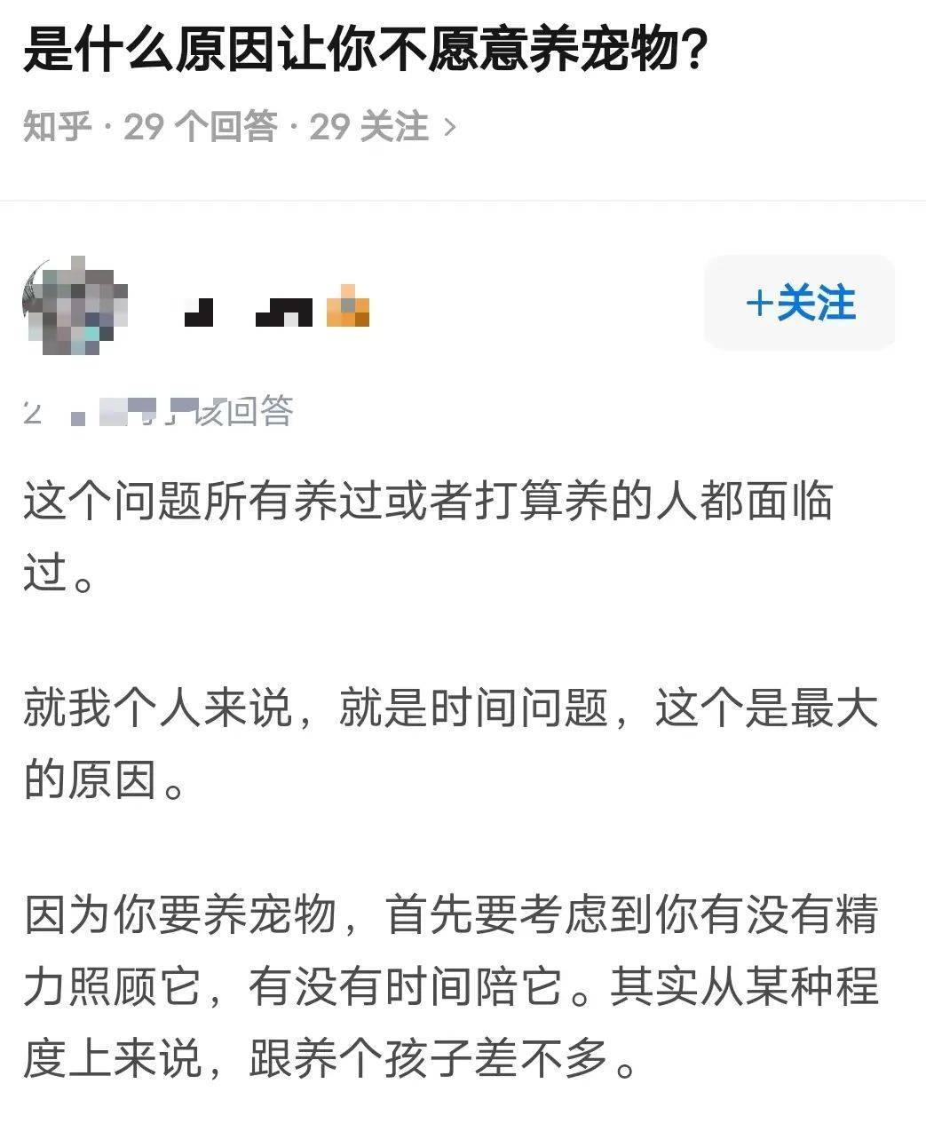 年轻人把石头当宠物养，还要给它征婚