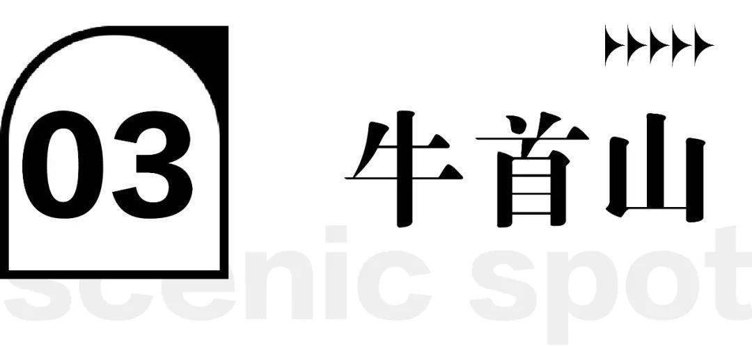 盖了20个章，我爱上了南京！