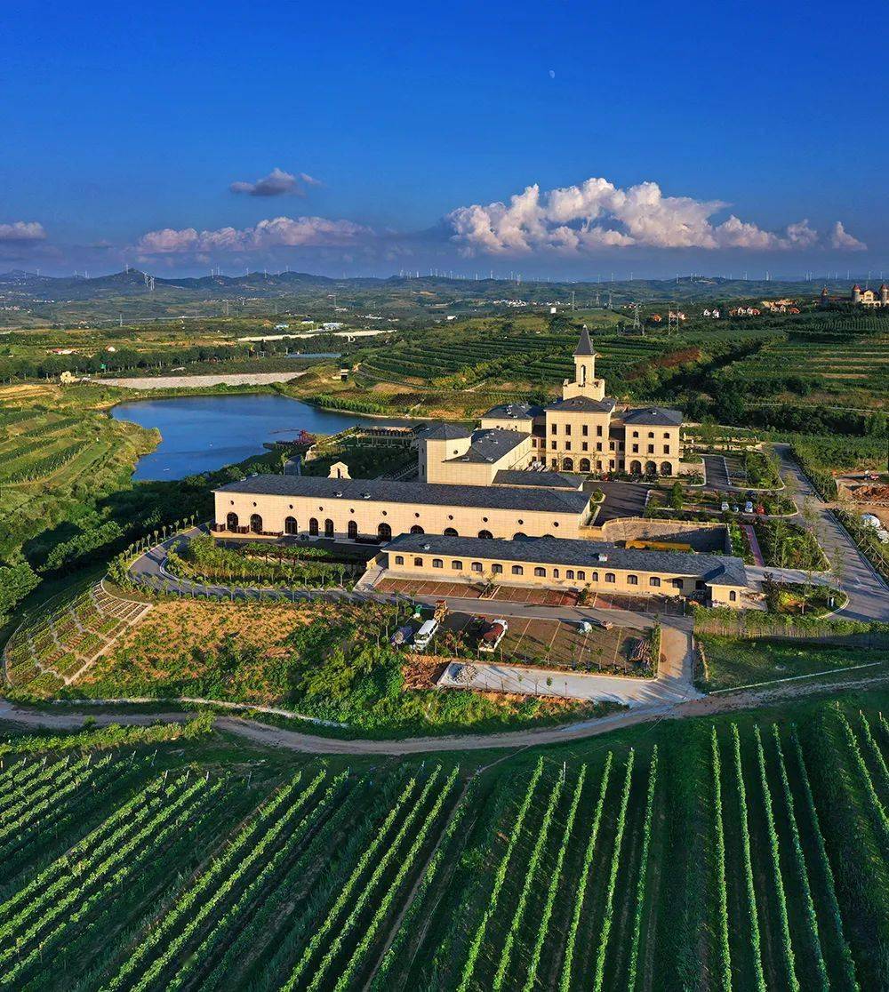 蓬莱的晚秋绝色,都藏在安诺酒庄的山野之间～_秋色_旅游_色彩