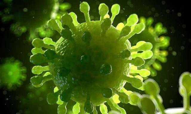 彭加木的三大贡献,找到400多种植物病毒,填补该领域空白_中国_罗布泊