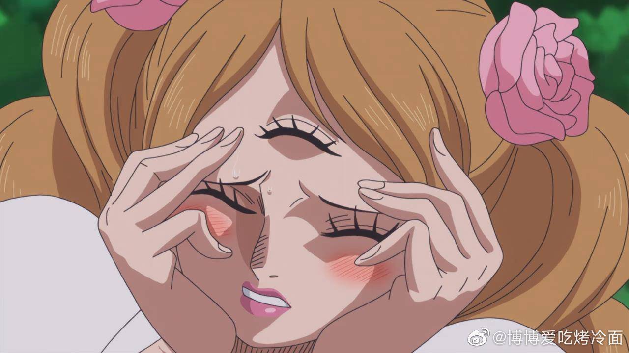 海贼王:布琳的最后一吻_山治_尾田_动漫