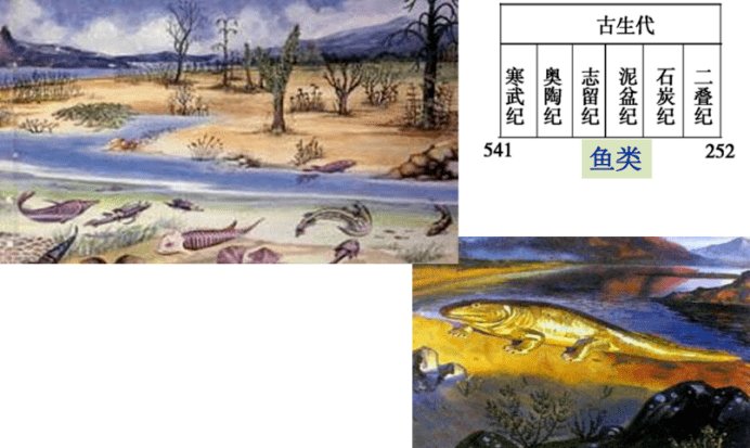 地球的演化过程_生物_化石_恐龙