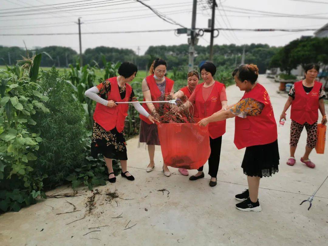 党群参与人居环境整治整治效果罗墩村书记项目名称:红色引领,创绿色