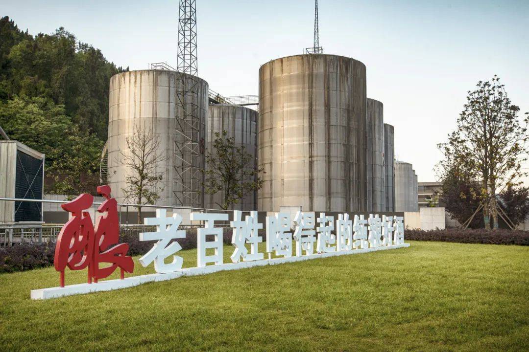 "超强舰队"奔赴500亿,川酒集团五年战略规划发布倒计时_原酒_定制