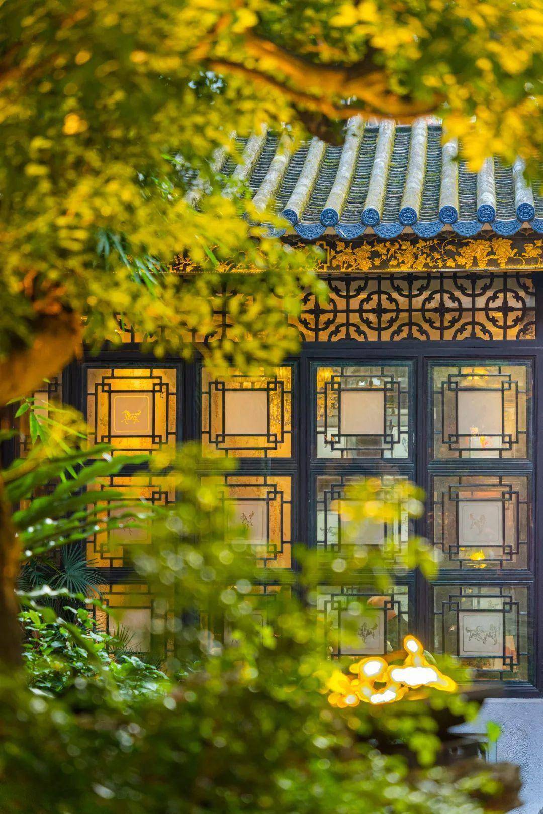 壹号见 | 秀木丽水:风格轻灵的岭南园林_兰圃_东园_广州